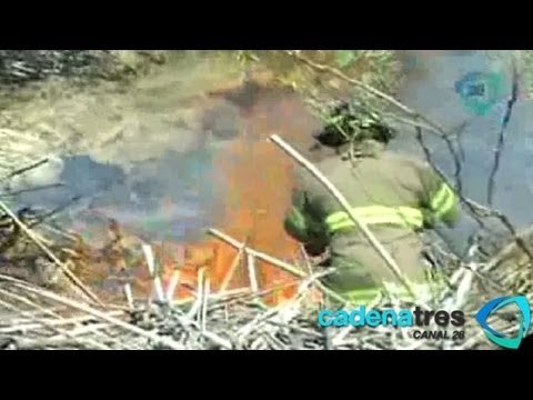 Contabilizan 2 mil muertos por incendios forestales en 2012; aumentan siniestros en Veracruz