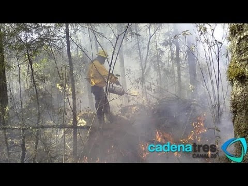 Incendios en San Luis Potosí afectaron 10 mil hectáreas; hay tres detenidos