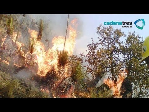 Vientos aumentan los incendios forestales en Hidalgo