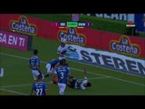 Resumen Final en el encuentro entre Querétaro vs Pumas | Liga Mx
