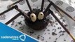Receta para preparar cupcakes de araña / Recetas de halloween