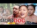 SACRED DOG 1 (REGINA DANIELS) - LATEST NIGERIAN NOLLYWOOD MOVIES