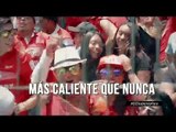 Así se vivió el Toluca vs. Tigres en las tribunas | Adrenalina