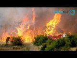 Incendios en San Luis Potosí afectan a 4 municipios