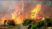 Incendios en San Luis Potosí afectan a 4 municipios