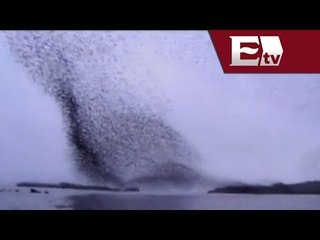 Aves volando dan increíble espectáculo / Infiltrados