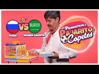 El pajarito 'Copetes' nos dice quién ganará entre Rusia y Arabia Saudita