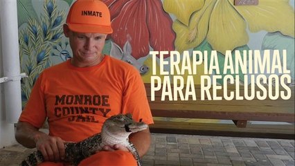 Terapia con animales para reclusos