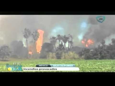 Incendios forestales provocados por descuido humano en Baja California