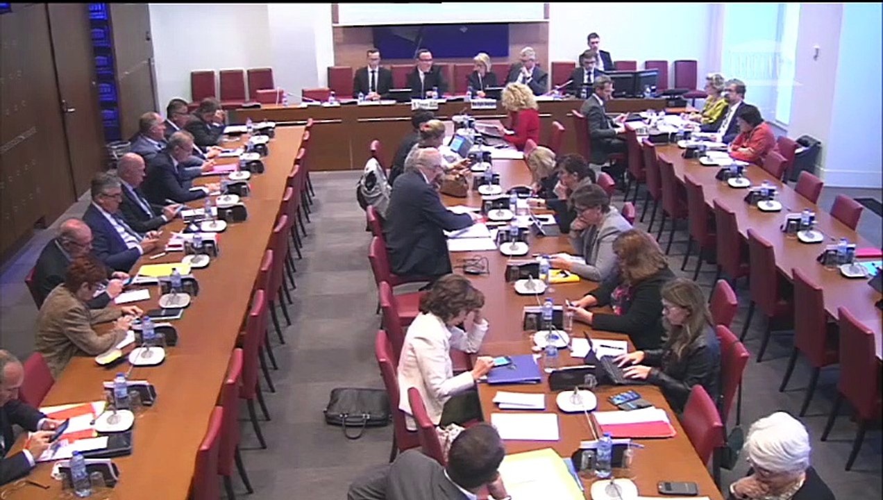 Commission des affaires sociales : Consolidation du modèle français du don du sang ; Création d’un répertoire des maladies rares ou orphelines - Mercredi 3 octobre 2018