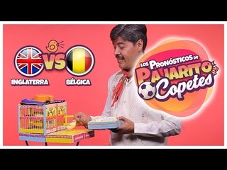 Inglaterra vs Bélgica ¿Quién va a ganar el partido? | Pajarito Copetes