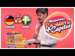 Alemania vs Suecia ¿Quién va a ganar el partido? | Pajarito Copetes