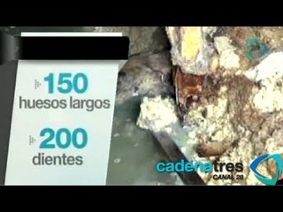 Hallan restos de víctimas en tercera fosa de 'El Pozolero'