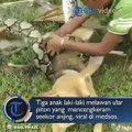 Video tiga anak laki-laki melawan ular piton yang mencengkeram seekor anjing, viral di media sosial.#videoviral #viral #mediasosial #tribunnews #localtoviral
