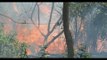 Altas temperaturas provocan que aumente los incendios forestales en Veracruz