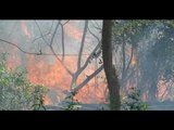 Altas temperaturas provocan que aumente los incendios forestales en Veracruz