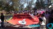 Maestros guerrerenses protestan contra reforma educativa por las calles de Chilpancingo