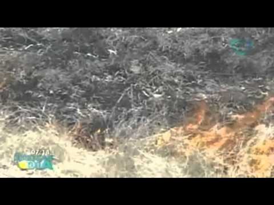 Incendio forestal amenaza zona arqueológica de Campeche