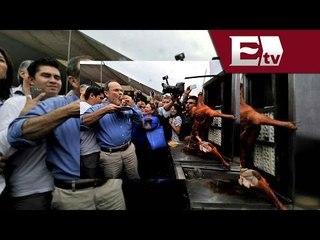 Ayer Madero se come un taco de "cordero"; hoy lo operan  / Nacional