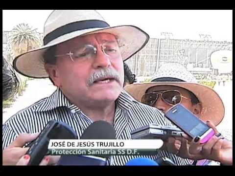 Secretaría de Salud del Distrito Federal hace atento llamado a dueños de mascotas