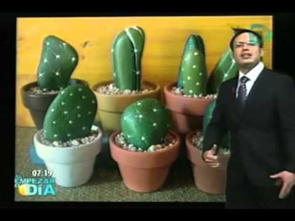 Macetas decoradas con piedras que simulan ser cactus // Inventos ultiles