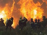 Incendio en Michoacán deja dos brigadistas muertos