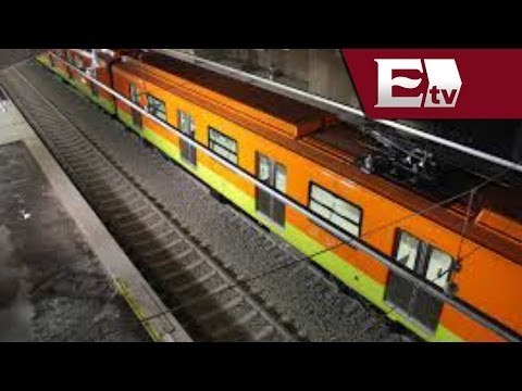 Recursos de la línea 12 del metro bajo la lupa / Ricardo Salas y Gwendolyne Flores