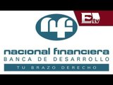 Nacional Financiera entregará créditos por 250 mdp en 2014 / Dinero