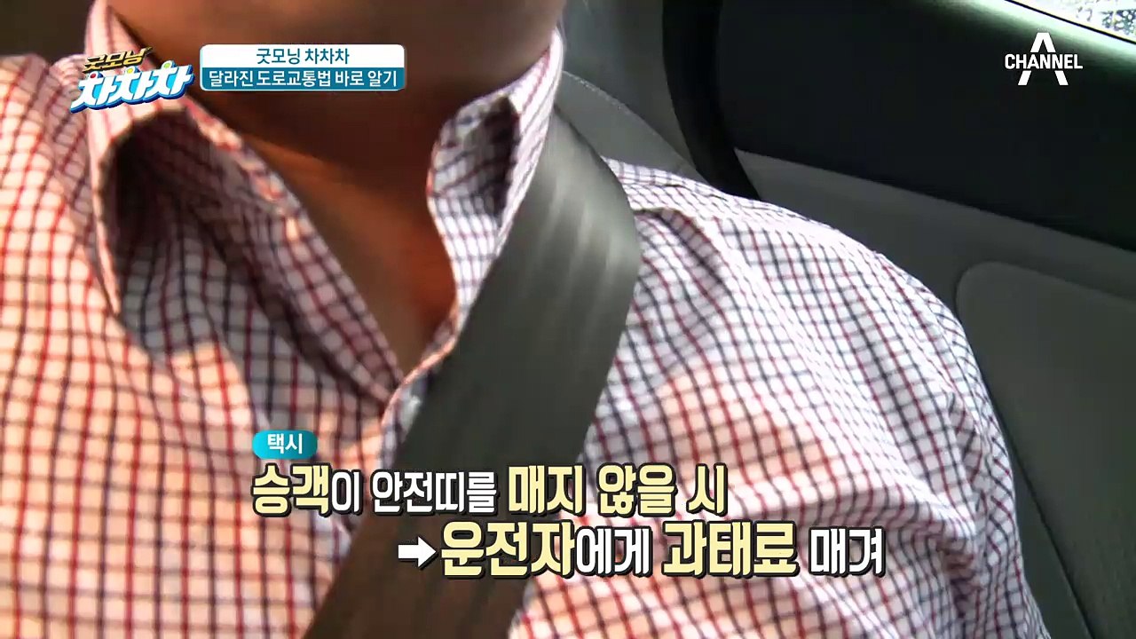 달라진 도로교통법, 모르면 나만 손해