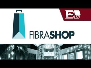 Fibra Shop va por tres centros comerciales / Dinero Darío Celis