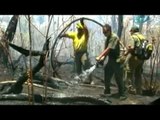 Controlan incendio forestal en el Bosque La Primavera de Jalisco