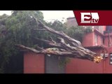 Decenas de casas afectadas por lluvias en Querétaro / Excélsior informa