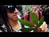 Jóvenes y adultos mexicanos piden legalización de Marihuana