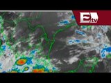 Amanda se degrada a tormenta tropical / Titulares con Vianey Esquinca