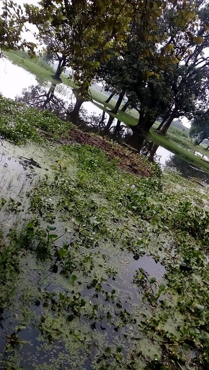 Beauty Of Village