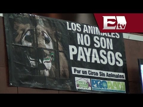 Prohíben en Zacatecas las presentaciones de circos con animales / Titulares con Vianey Esquinca