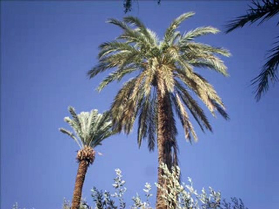 Tamazgha-amazigh atlas maroc