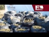 Decomisan 430 kilos de marihuana y camioneta robada en Chihuahua  / Excélsior Informa