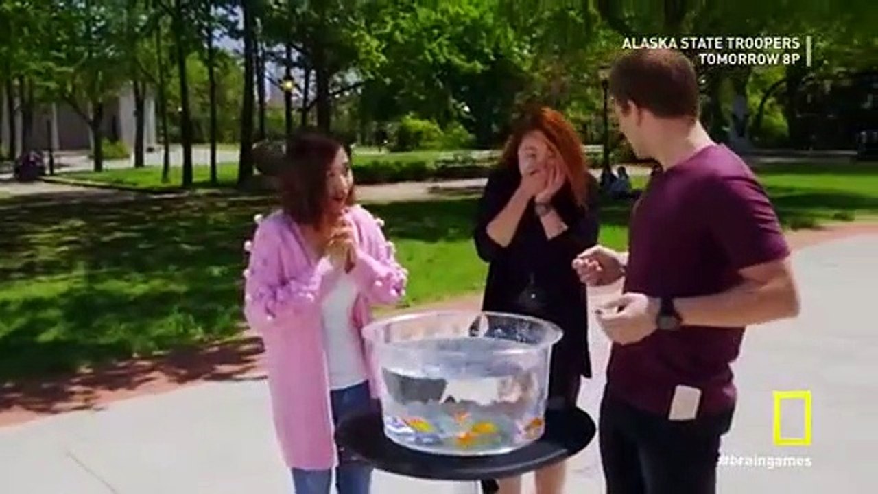 Brain Games S04E04