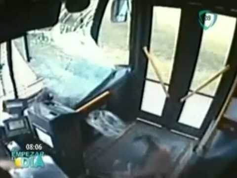 Venado sufre aparatoso acidente al ser atropellado