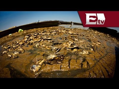 El cambio climático y calentamiento global, daños al planeta / Visión turística