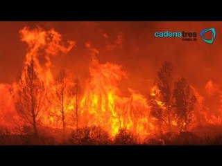 Reportan 32 incendios activos y 7 controlados en el 14 estados