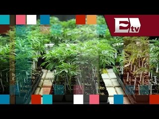 El uso recreativo de la marihuana en Colorado/ Entre Mujeres