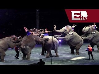 Gobierno del Distrito Federal prohibe espectáculos de circo con animales / Titulares Vianey Esquinca