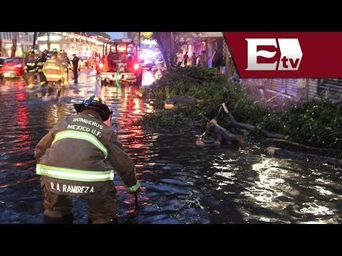 Intensas lluvias dejan 13 encharcamientos y árboles caídos en el Distrito Federal/ Comunidad