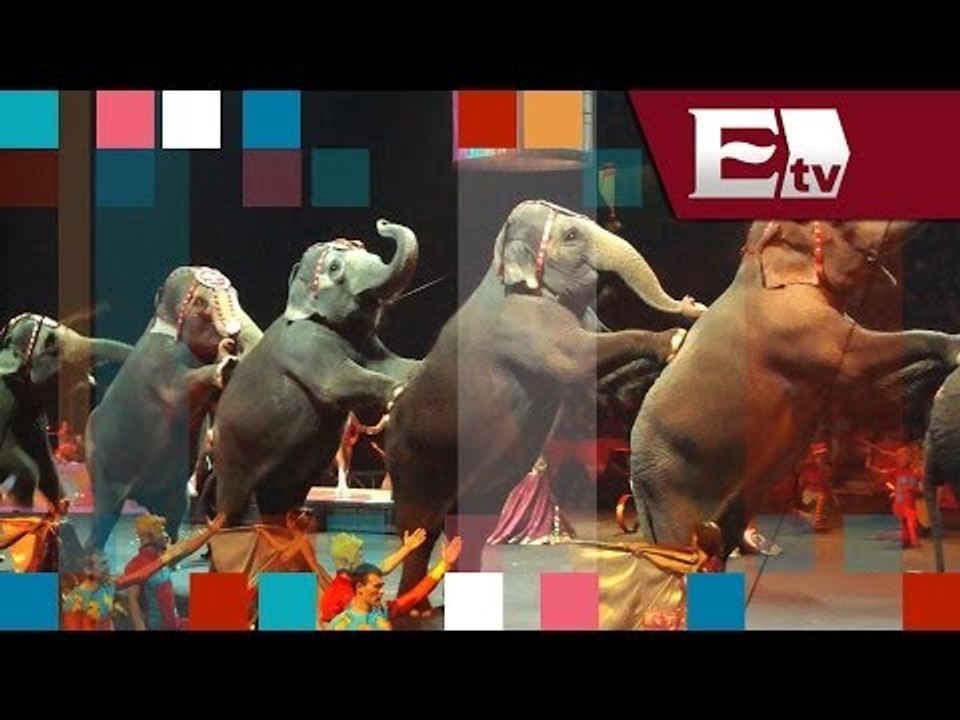 Distrito Federal prohíbe el uso de animales en los circos/ Entre Mujeres