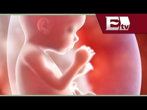 Piden disolución de la Comisión de la Familia en el Senado / Nacional