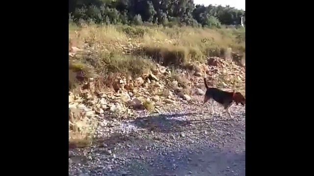 VIDÉO - Fred (Les Anges) : sa violente altercation avec un chasseur qui a failli mal tourner