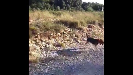 VIDÉO - Fred (Les Anges) : sa violente altercation avec un chasseur qui a failli mal tourner