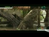 Huracán Bárbara se degrada a tormenta tropical en Oaxaca